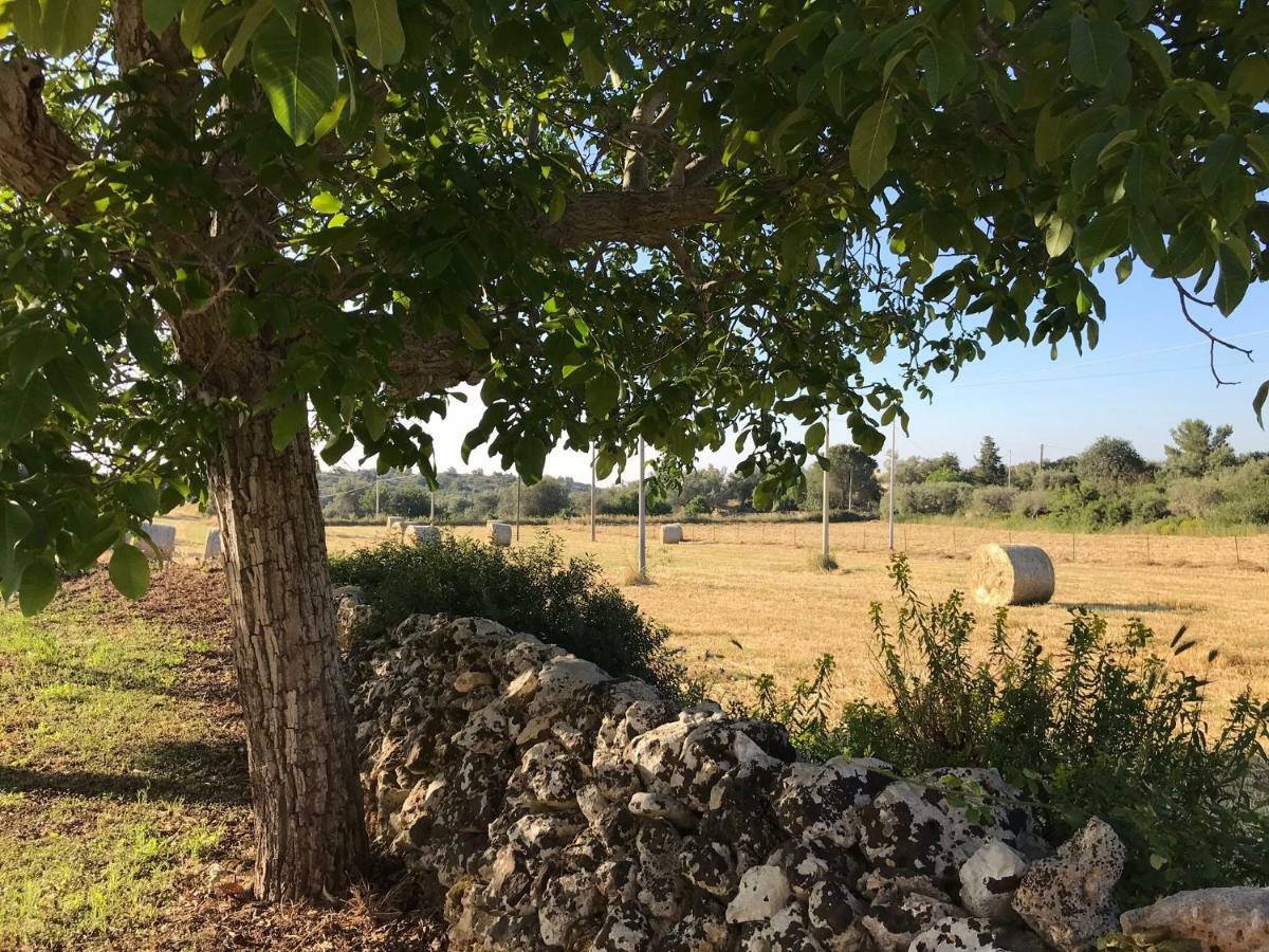 Casa Farfaglia Pensionat Noto Exteriör bild